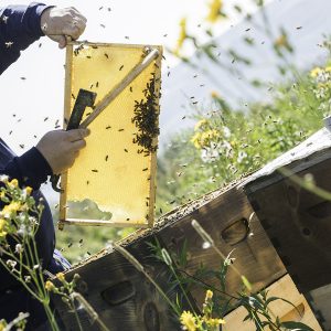 Smart Hospital Infrastructure & IoT